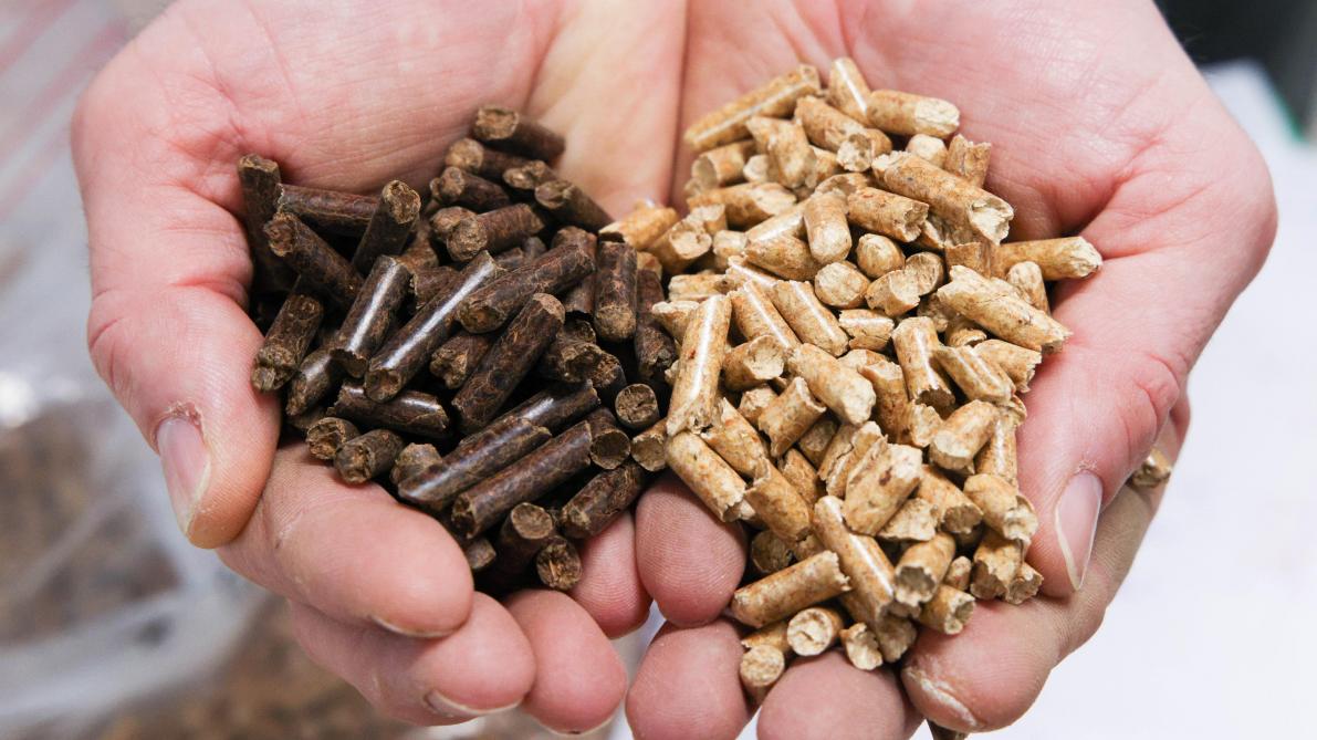1 tonne de pellet outlet